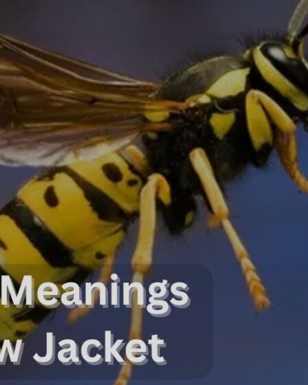 Spiritual Meaning of a Yellow Jacket