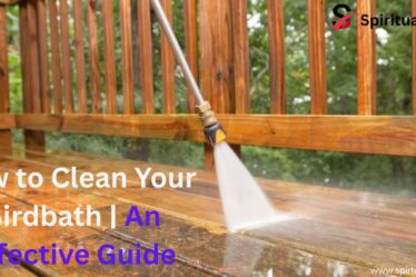How to Clean Your Birdbath | An Effective Guide