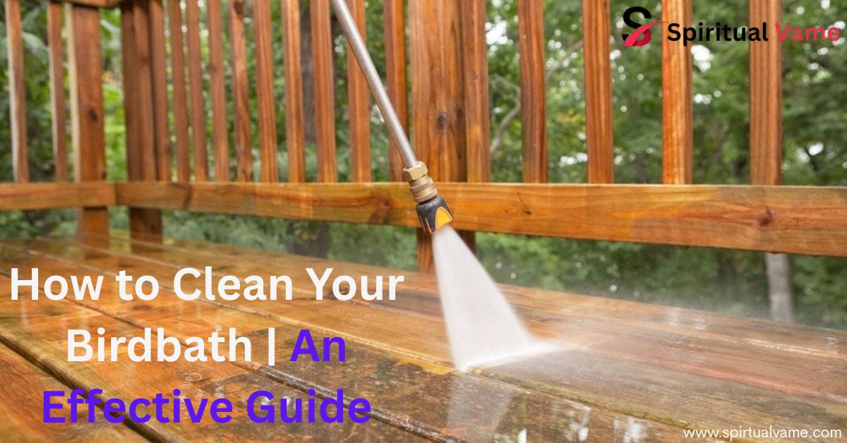 How to Clean Your Birdbath | An Effective Guide