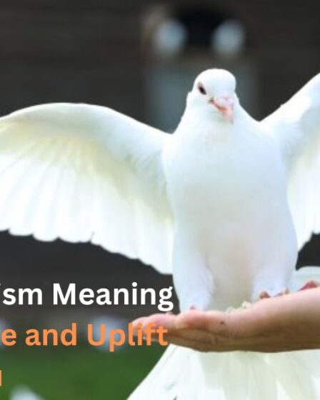 Pigeon Symbolism Meaning That Will Inspire and Uplift You