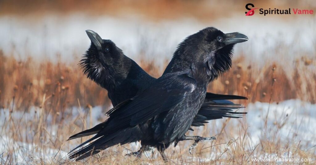 Balance and harmony in life
