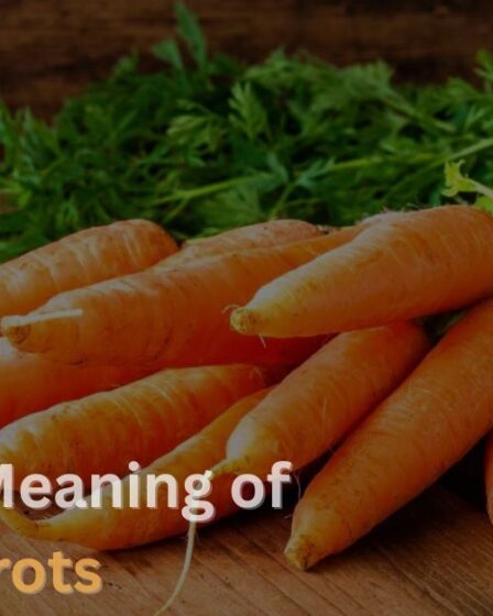 Spiritual-Meaning-of-Carrots