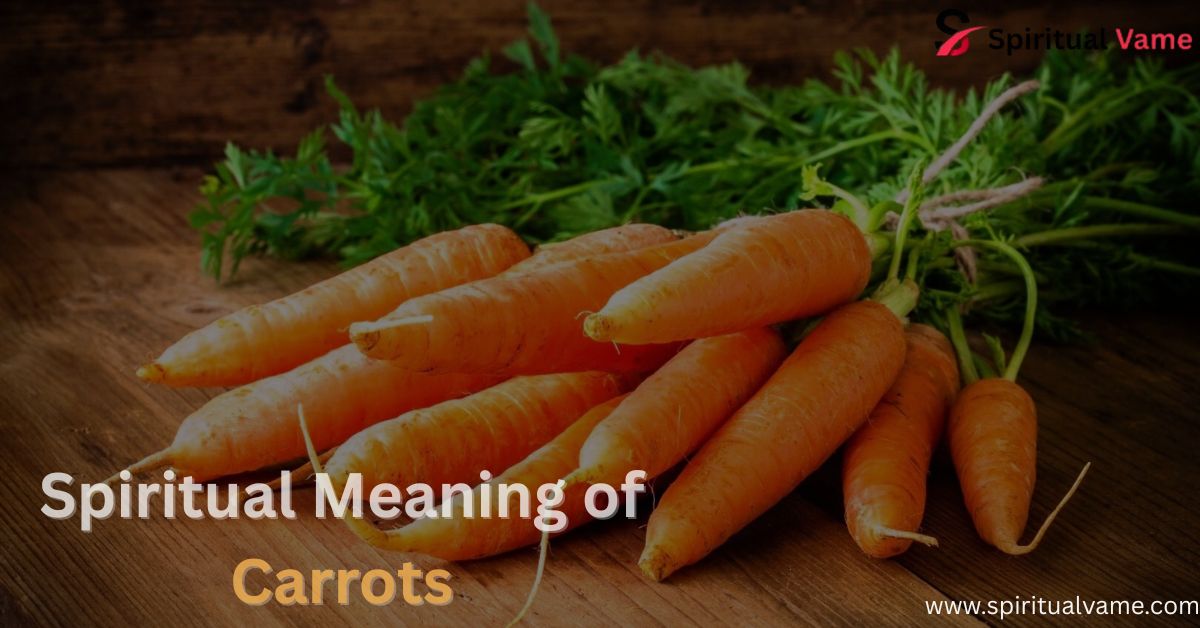 Spiritual-Meaning-of-Carrots