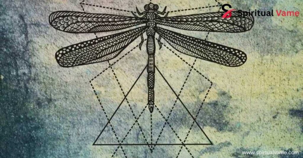 Dead Dragonfly Messages From Beyond The Veil
