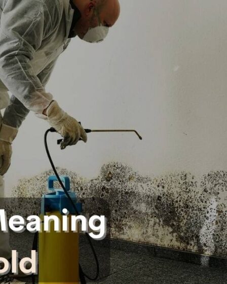 Spiritual Meaning of Mold