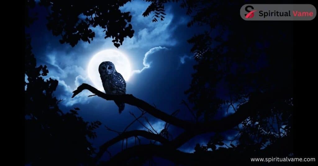 Intuition and Inner Vision