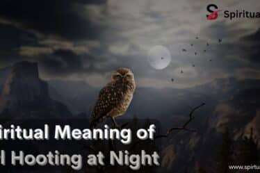 Spiritual Meaning of Owl Hooting at Night