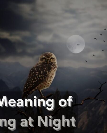 Spiritual Meaning of Owl Hooting at Night