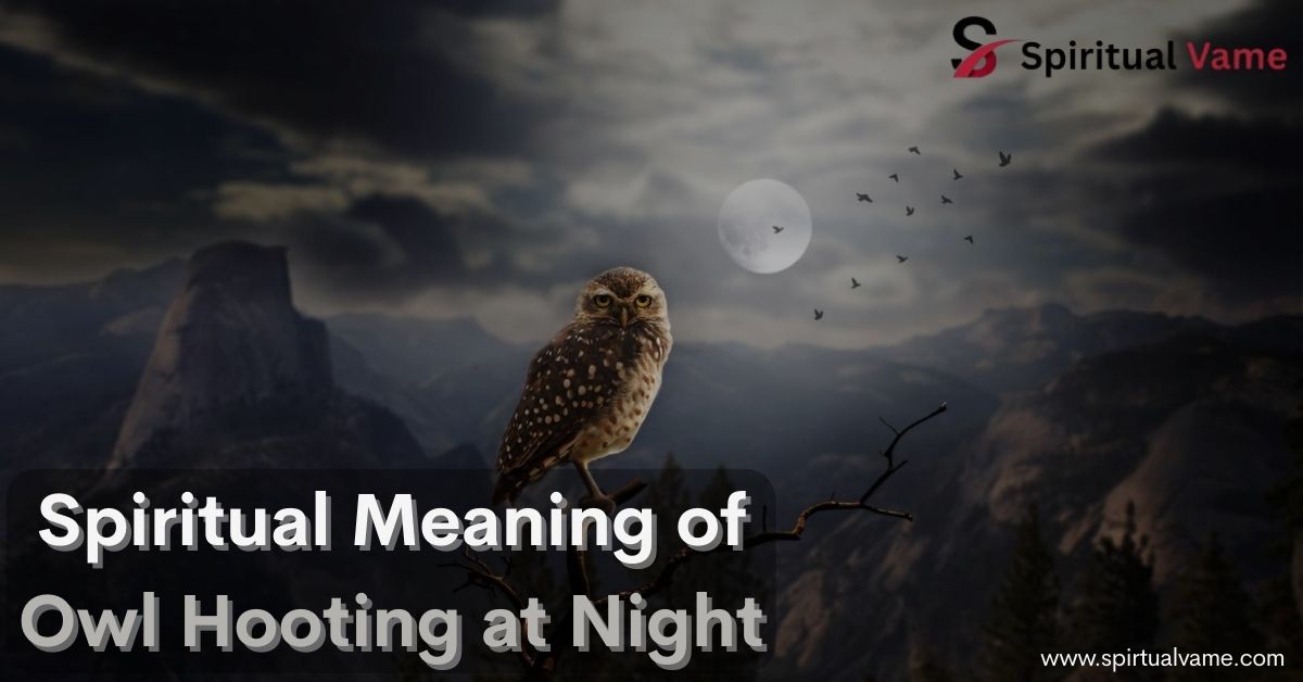 Spiritual Meaning of Owl Hooting at Night