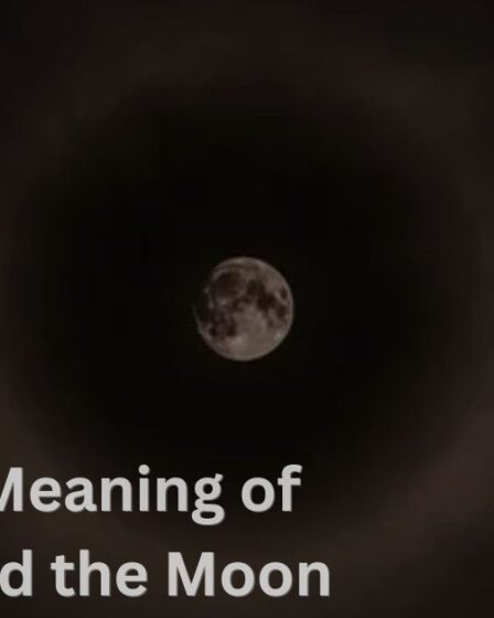 Spiritual-Meaning-of-Two-Ravens