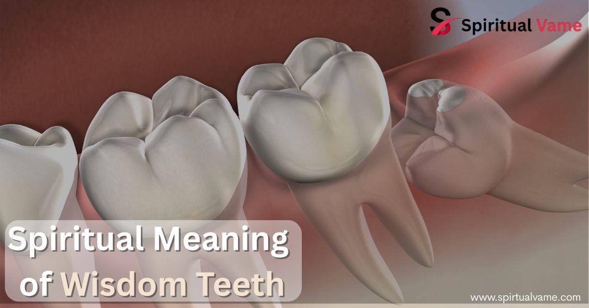 The Spiritual Meaning of Wisdom Teeth