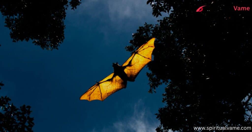 Spiritual Meaning of Seeing a Bat During the Day