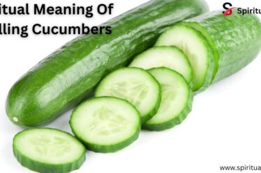 Spiritual Meaning Of Smelling Cucumbers 