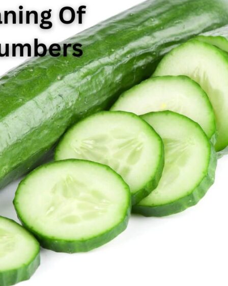 Spiritual Meaning Of Smelling Cucumbers 