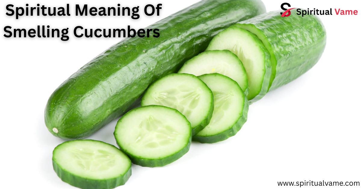 Spiritual Meaning Of Smelling Cucumbers 