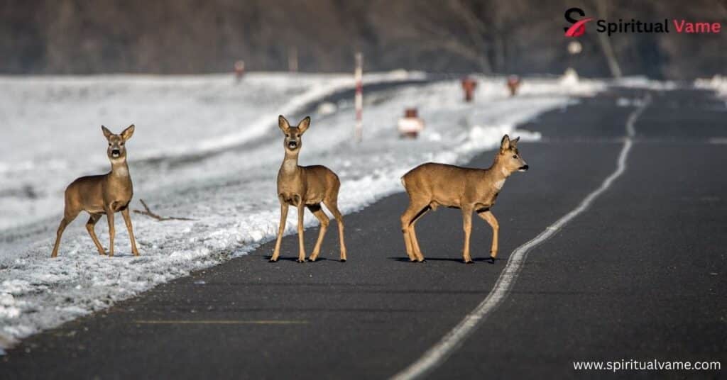 Deer as Gentle Messengers from the Spirit World