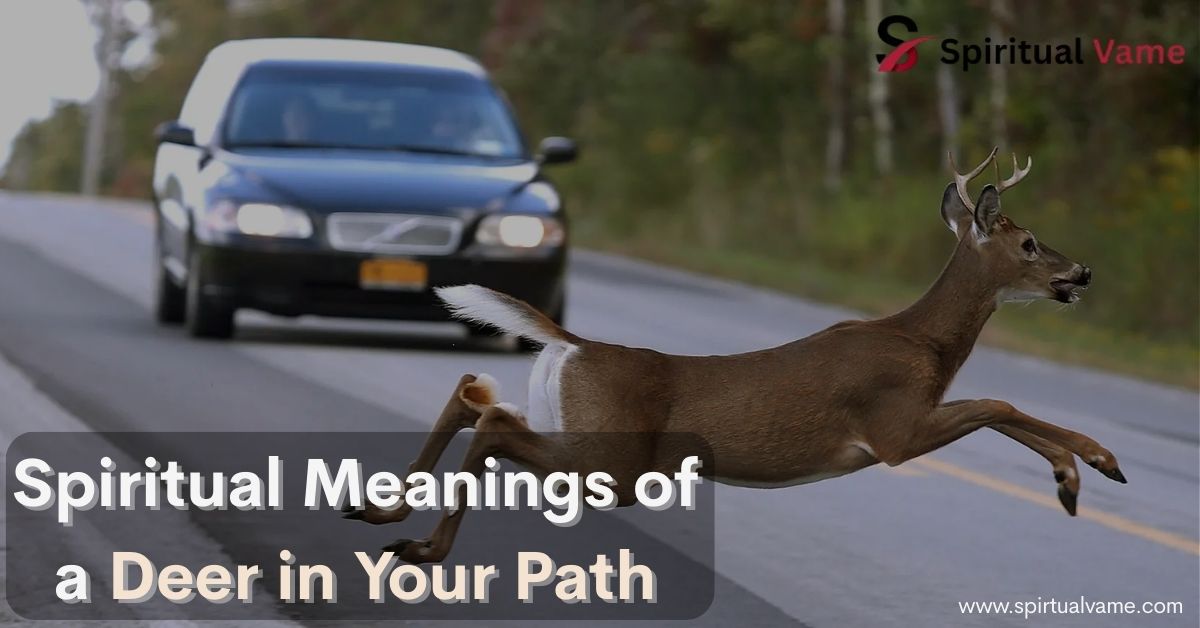 Spiritual Meanings of a Deer in Your Path
