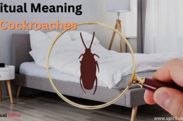Spiritual Meaning of Cockroaches