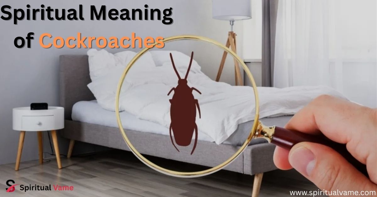 Spiritual Meaning of Cockroaches
