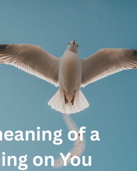 Spiritual meaning of a Bird Pooping on You