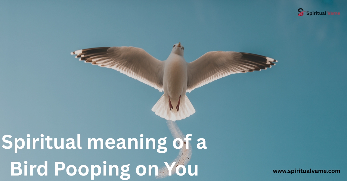 Spiritual meaning of a Bird Pooping on You