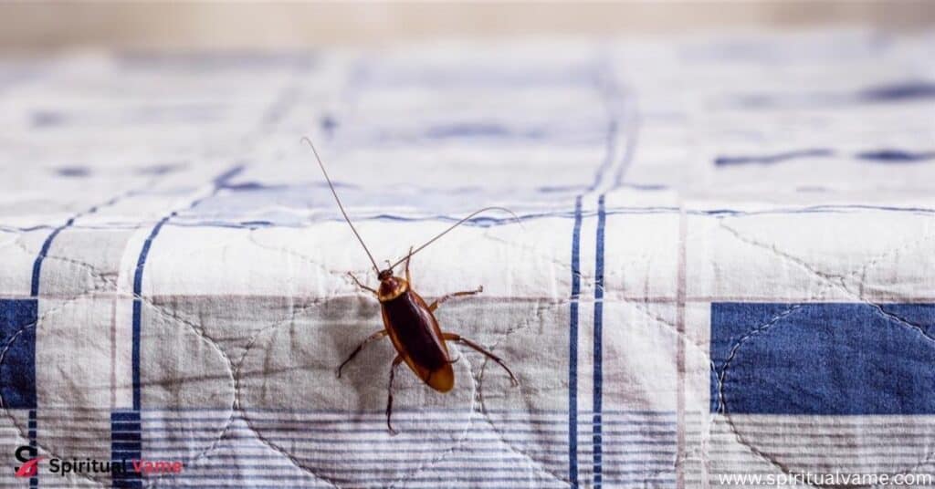 Spiritual Meaning of Cockroaches