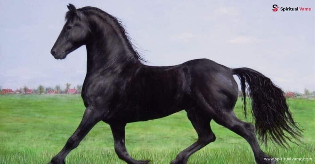 Black horse in my dream is friendly or aggressive
