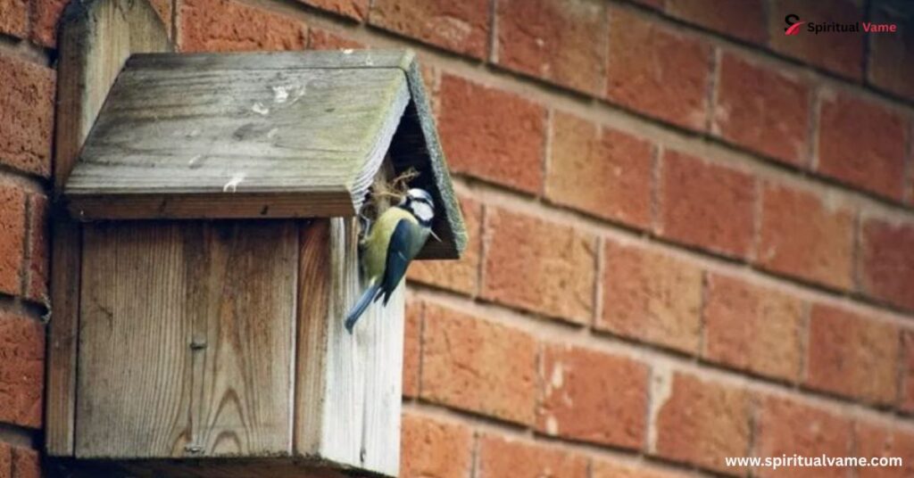 The Many Benefits of Birdhouses