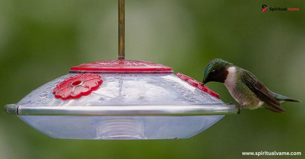 Avoid Pesticides Near Wildlife Feeders