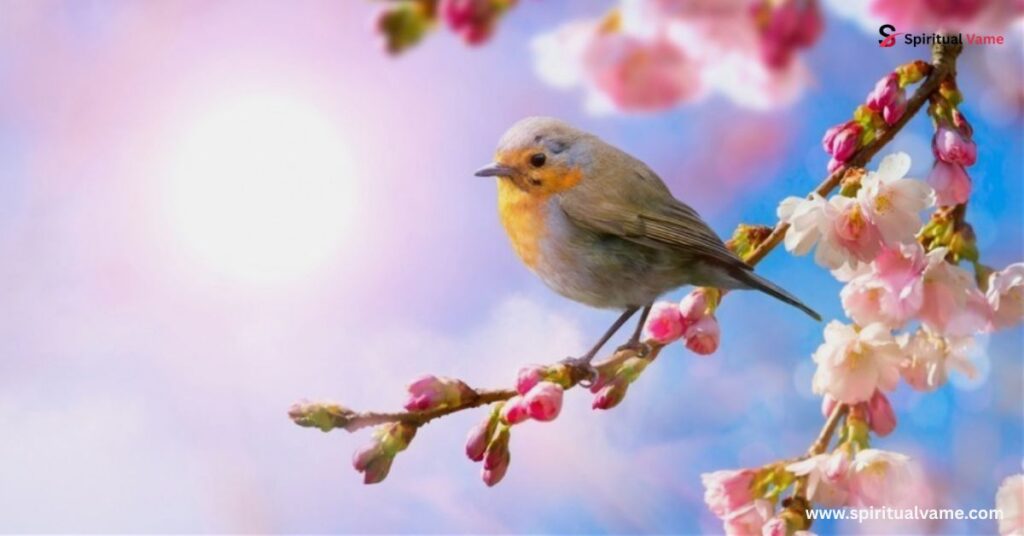 What are the benefits of being aware when birds awaken?