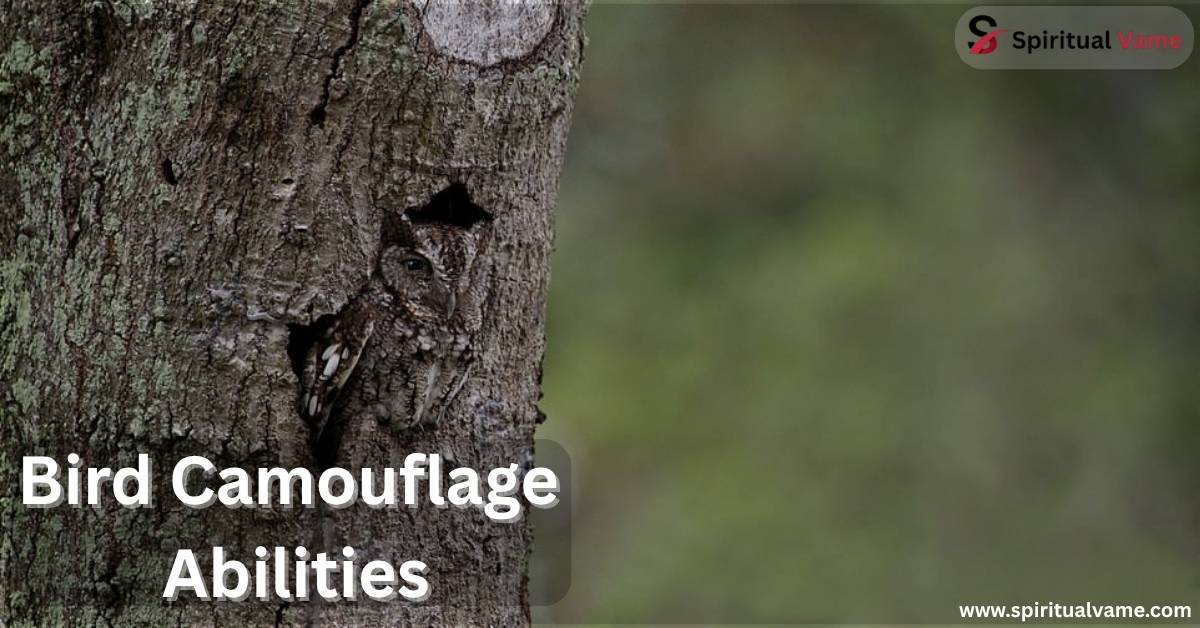 Bird Camouflage Abilities