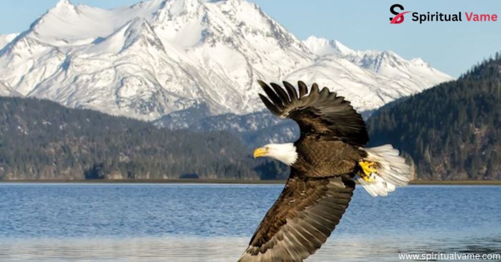 Largest Birds in Alaska