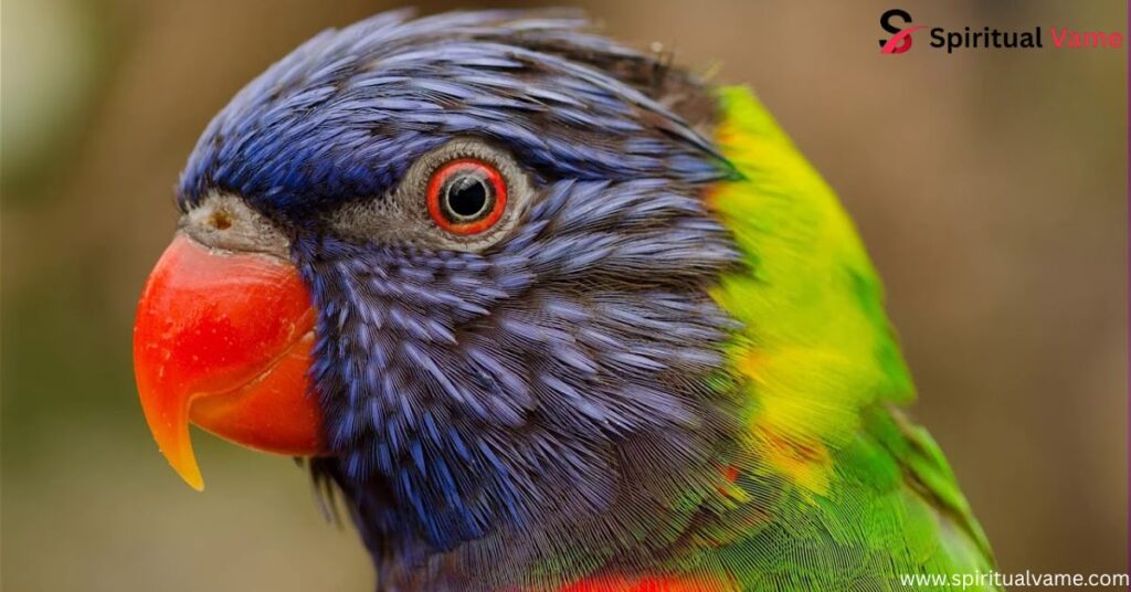 Colorful Parrot Species That Will Brighten Your World