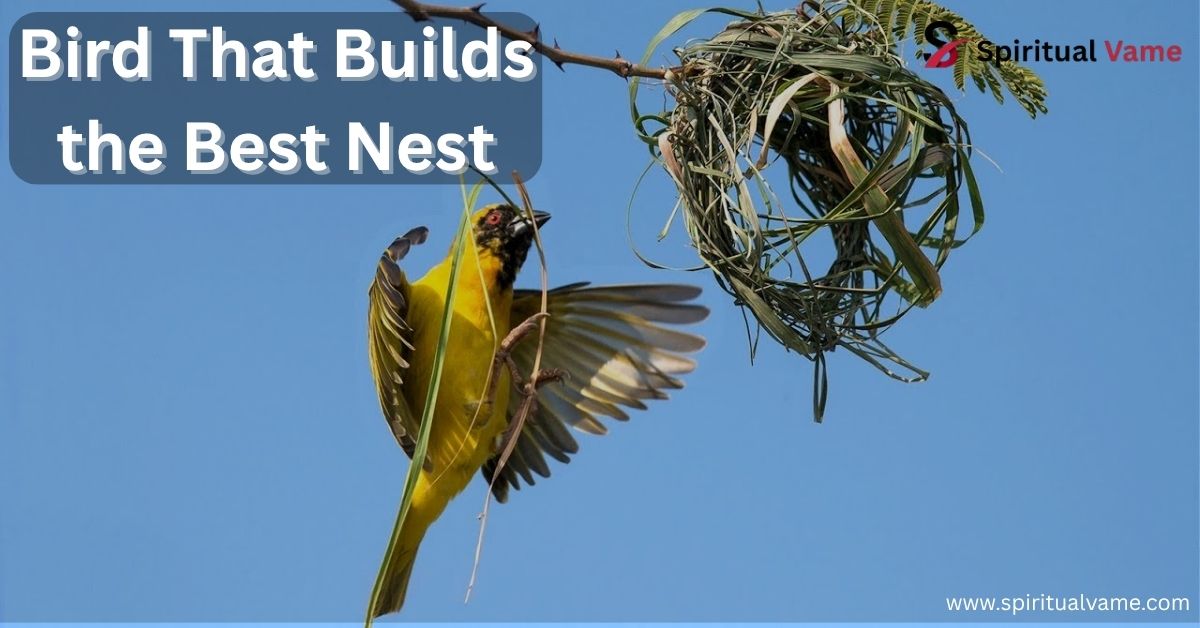 list of nesting Birds