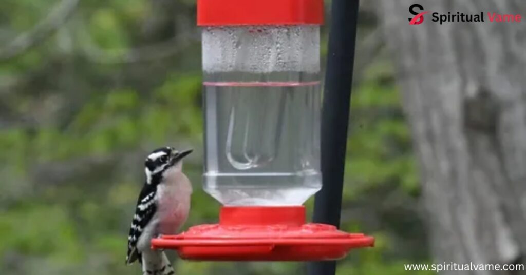 Nectar Lovers