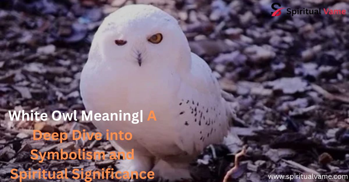 White Owl Meaning| A Deep Dive into Symbolism and Spiritual Significance
