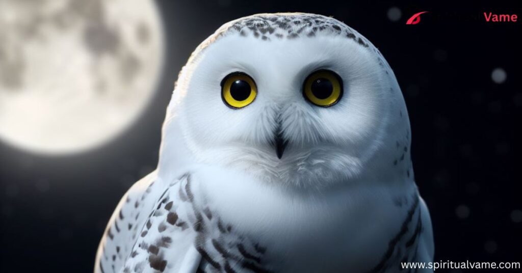 White Owl Meaning| A Deep Dive into Symbolism and Spiritual Significance
