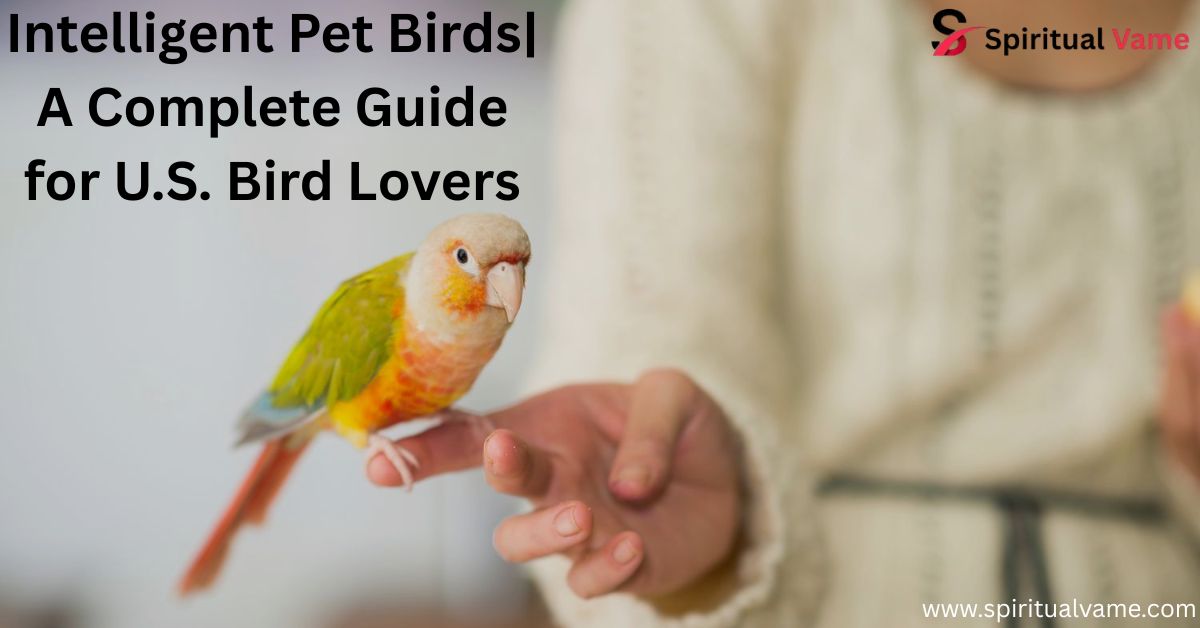 Intelligent Pet Birds| A Complete Guide for U.S. Bird Lovers