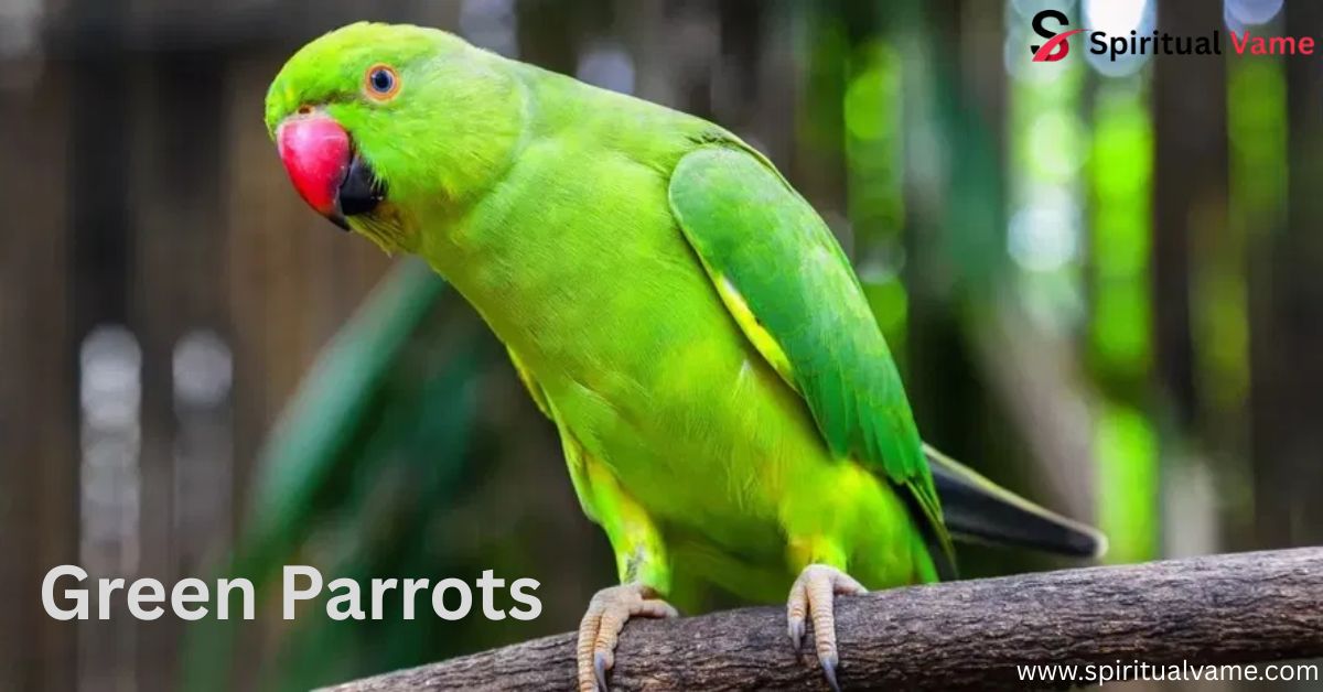 Green Parrots