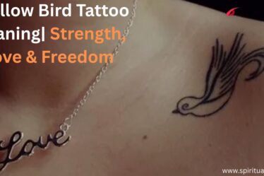 Swallow Bird Tattoo Meaning| Strength, Love & Freedom