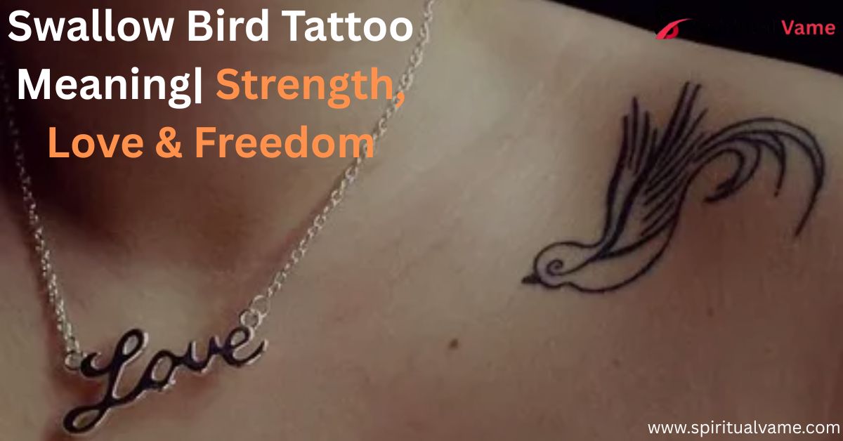 Swallow Bird Tattoo Meaning| Strength, Love & Freedom