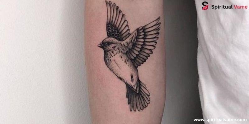  the Sparrow Bird Tattoo Meaning