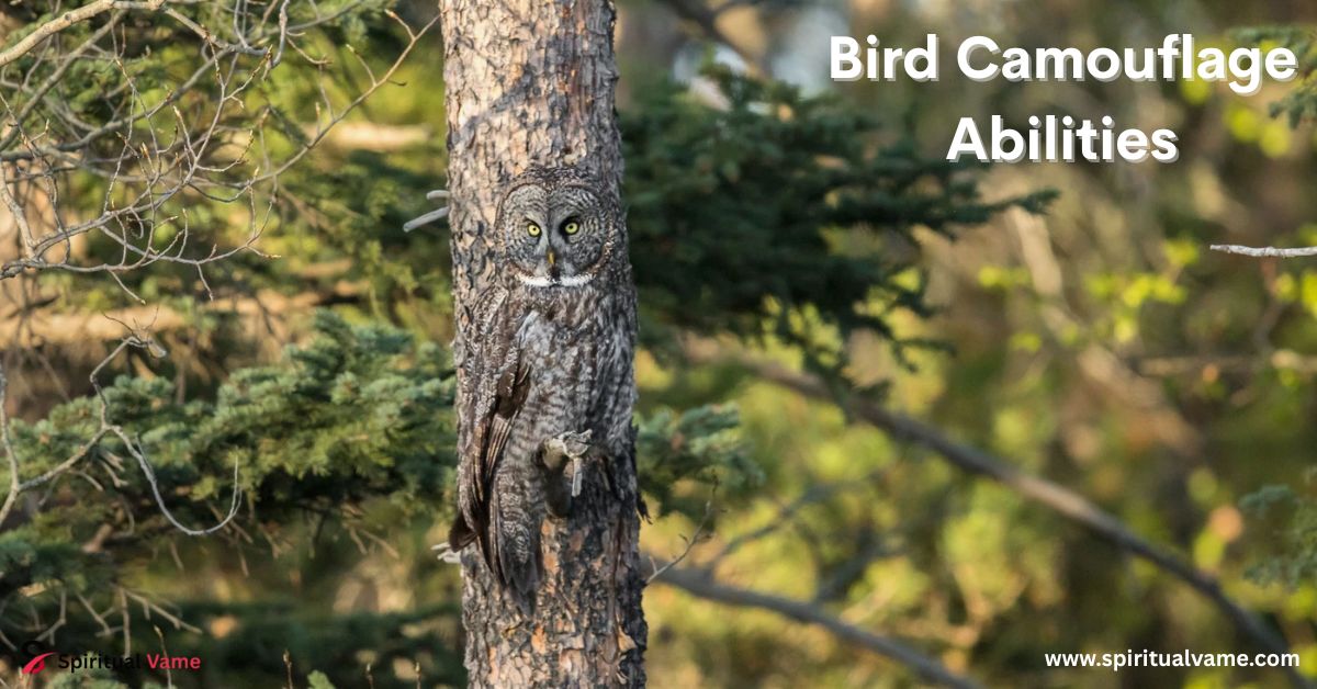 Bird Camouflage Abilities