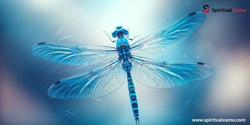 Blue Dragonfly Spiritual Meaning