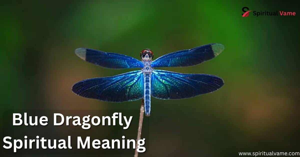 Blue Dragonfly Spiritual Meaning