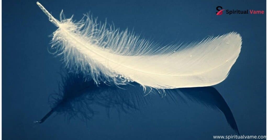 White Feather