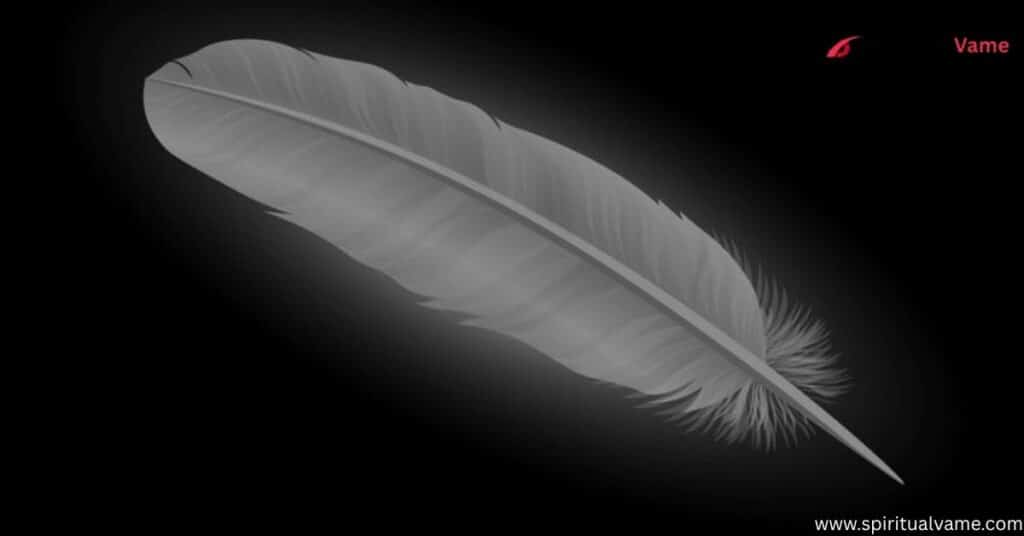 White Feather