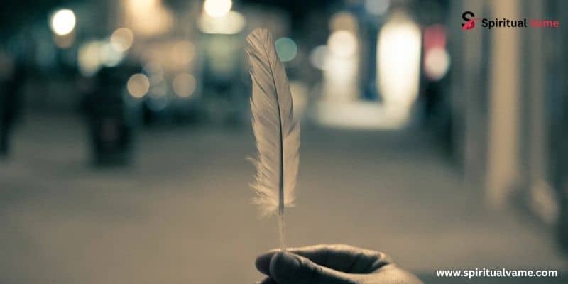 White Feather