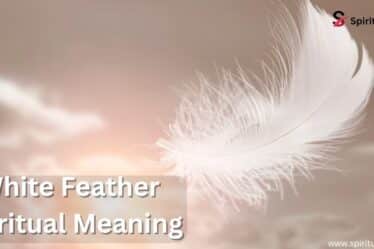 White Feather Spiritual Meaning
