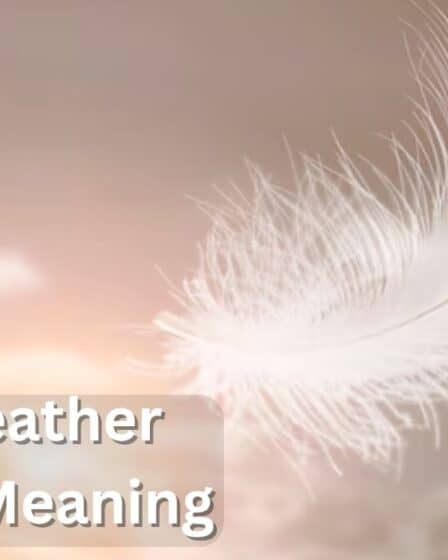 White Feather Spiritual Meaning